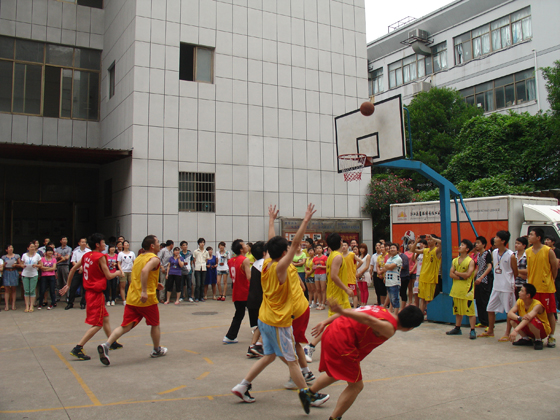 2013年篮球总决赛